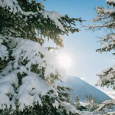 Burgstall Neustift im Stubaital